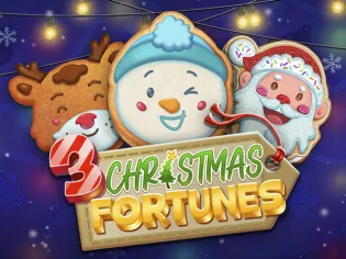 3 Christmas Fortunes screenshot